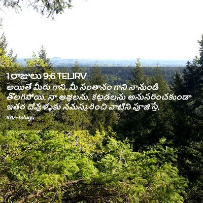 Picture 02 - 1 రాజులు 9:6 TELIRV - అయితే మీరు గాని, మీ - Bible Verse Picture