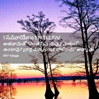 Picture 02 - 1 సమూయేలు 1:14 TELIRV - అతడామెతో “ఎంతసేపు - Bible Verse Picture