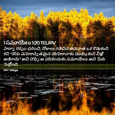 Picture 02 - 1 సమూయేలు 1:20 TELIRV - హన్నా గర్భం - Bible Verse Picture