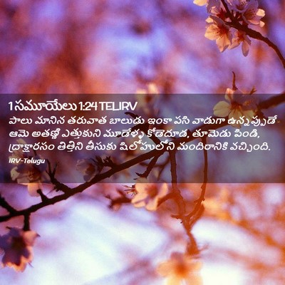 Picture 02 - 1 సమూయేలు 1:24 TELIRV - పాలు మానిన తరువాత - Bible Verse Picture
