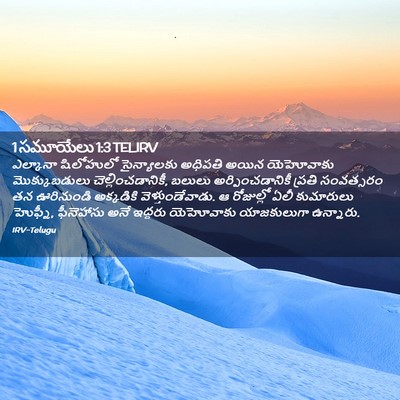 Picture 02 - 1 సమూయేలు 1:3 TELIRV - ఎల్కానా షిలోహులో - Bible Verse Picture