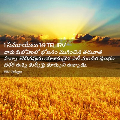 Picture 02 - 1 సమూయేలు 1:9 TELIRV - వారు షిలోహులో - Bible Verse Picture