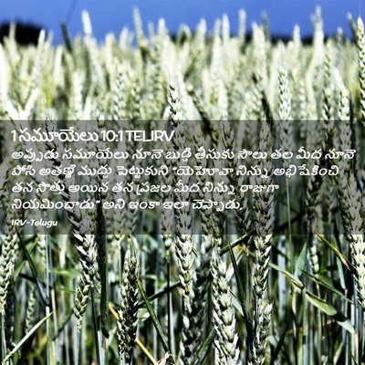 Picture 02 - 1 సమూయేలు 10:1 TELIRV - అప్పుడు సమూయేలు - Bible Verse Picture