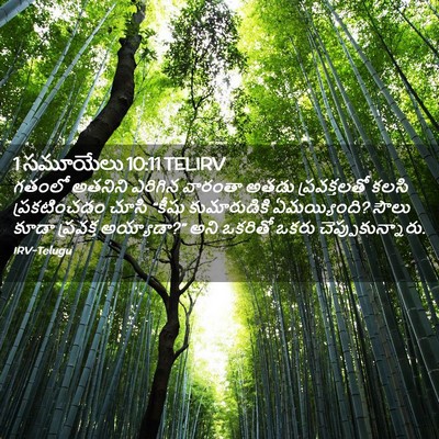 Picture 02 - 1 సమూయేలు 10:11 TELIRV - గతంలో అతనిని - Bible Verse Picture