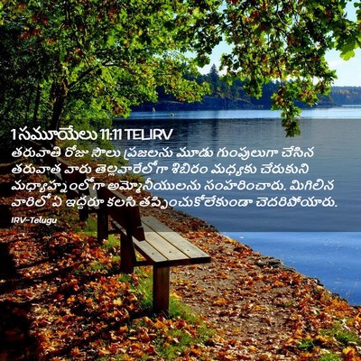 Picture 02 - 1 సమూయేలు 11:11 TELIRV - తరువాతి రోజు సౌలు - Bible Verse Picture