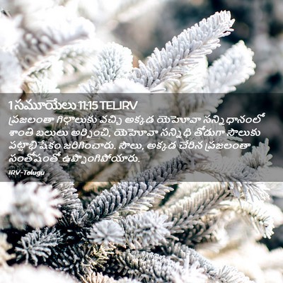 Picture 02 - 1 సమూయేలు 11:15 TELIRV - ప్రజలంతా - Bible Verse Picture