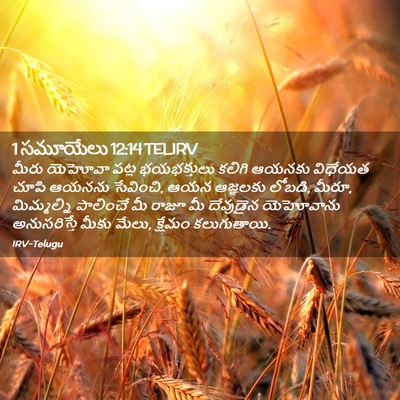 Picture 02 - 1 సమూయేలు 12:14 TELIRV - మీరు యెహోవా పట్ల - Bible Verse Picture