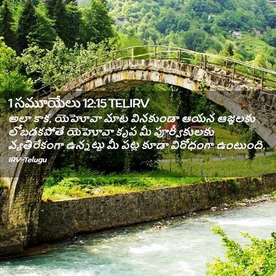 Picture 02 - 1 సమూయేలు 12:15 TELIRV - అలా కాక, యెహోవా మాట - Bible Verse Picture