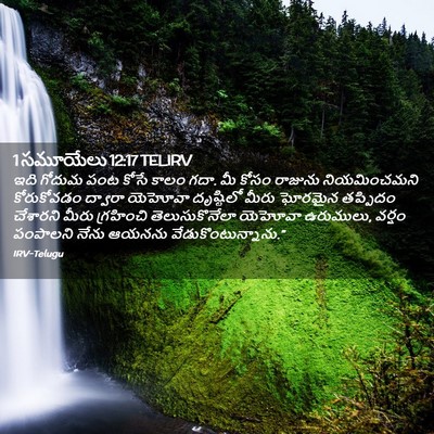 Picture 02 - 1 సమూయేలు 12:17 TELIRV - ఇది గోదుమ పంట కోసే - Bible Verse Picture