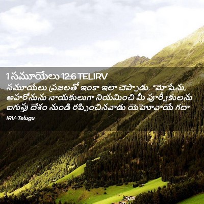 Picture 02 - 1 సమూయేలు 12:6 TELIRV - సమూయేలు ప్రజలతో - Bible Verse Picture