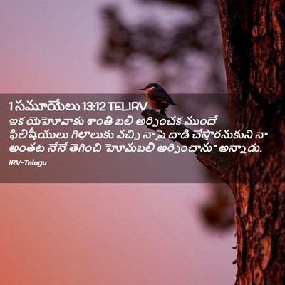 Picture 02 - 1 సమూయేలు 13:12 TELIRV - ఇక యెహోవాకు శాంతి - Bible Verse Picture