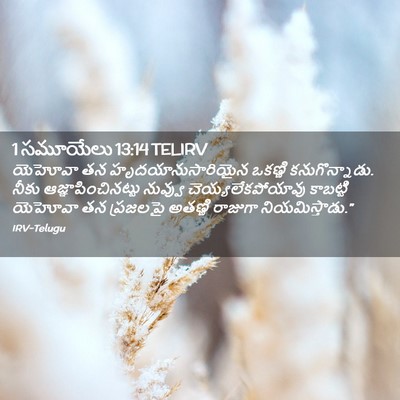 Picture 02 - 1 సమూయేలు 13:14 TELIRV - యెహోవా తన - Bible Verse Picture