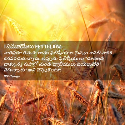 Picture 02 - 1 సమూయేలు 14:11 TELIRV - వారిద్దరూ తమను - Bible Verse Picture