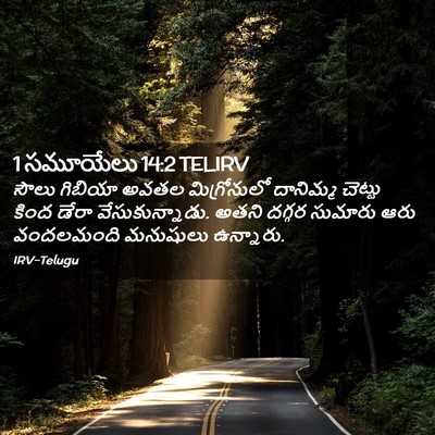 Picture 02 - 1 సమూయేలు 14:2 TELIRV - సౌలు గిబియా అవతల - Bible Verse Picture