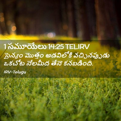 Picture 02 - 1 సమూయేలు 14:25 TELIRV - సైన్యం మొత్తం - Bible Verse Picture