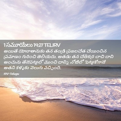 Picture 02 - 1 సమూయేలు 14:27 TELIRV - అయితే యోనాతానుకు - Bible Verse Picture