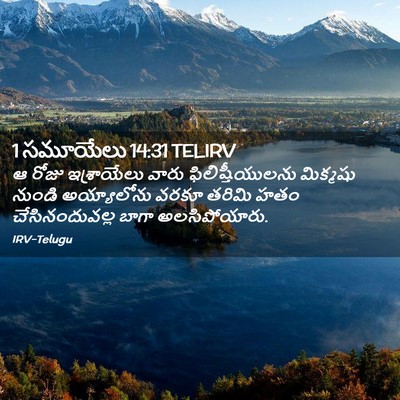 Picture 02 - 1 సమూయేలు 14:31 TELIRV - ఆ రోజు ఇశ్రాయేలు - Bible Verse Picture
