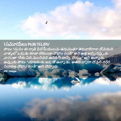 Picture 02 - 1 సమూయేలు 14:36 TELIRV - సౌలు “మనం ఈ రాత్రి - Bible Verse Picture