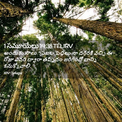 Picture 02 - 1 సమూయేలు 14:38 TELIRV - అందుకు సౌలు - Bible Verse Picture