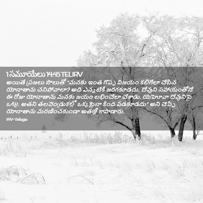 Picture 02 - 1 సమూయేలు 14:45 TELIRV - అయితే ప్రజలు - Bible Verse Picture