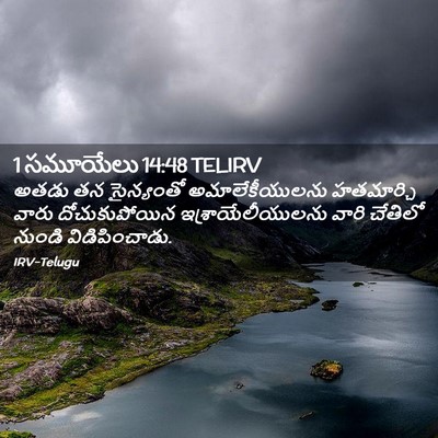 Picture 02 - 1 సమూయేలు 14:48 TELIRV - అతడు తన సైన్యంతో - Bible Verse Picture