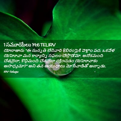 Picture 02 - 1 సమూయేలు 14:6 TELIRV - యోనాతాను “ఈ - Bible Verse Picture