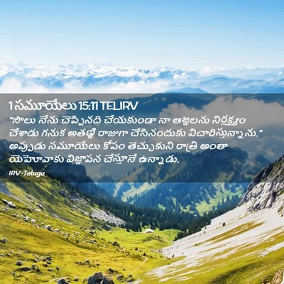 Picture 02 - 1 సమూయేలు 15:11 TELIRV - “సౌలు నేను - Bible Verse Picture