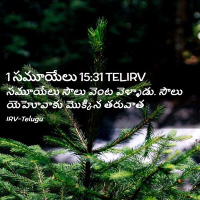 Picture 02 - 1 సమూయేలు 15:31 TELIRV - సమూయేలు సౌలు వెంట - Bible Verse Picture