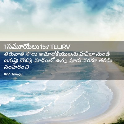 Picture 02 - 1 సమూయేలు 15:7 TELIRV - తరువాత సౌలు - Bible Verse Picture