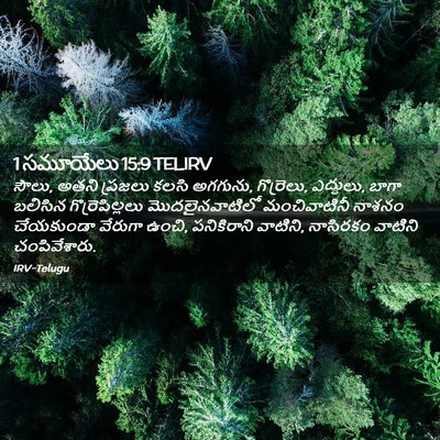 Picture 02 - 1 సమూయేలు 15:9 TELIRV - సౌలు, అతని ప్రజలు - Bible Verse Picture