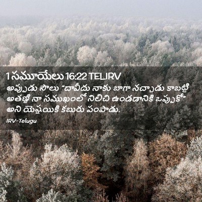 Picture 02 - 1 సమూయేలు 16:22 TELIRV - అప్పుడు సౌలు - Bible Verse Picture