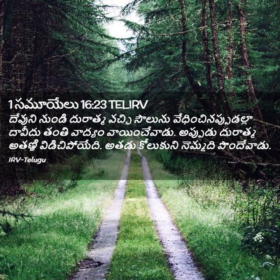 Picture 02 - 1 సమూయేలు 16:23 TELIRV - దేవుని నుండి - Bible Verse Picture