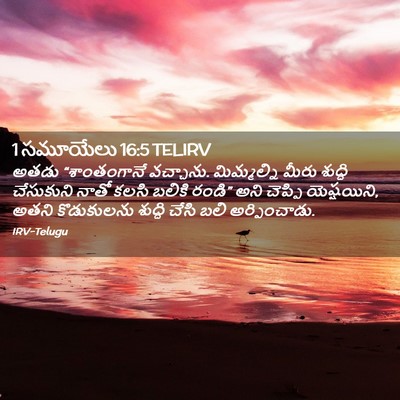 Picture 02 - 1 సమూయేలు 16:5 TELIRV - అతడు “శాంతంగానే - Bible Verse Picture