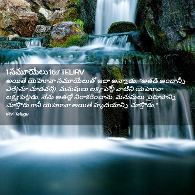 Picture 02 - 1 సమూయేలు 16:7 TELIRV - అయితే యెహోవా - Bible Verse Picture