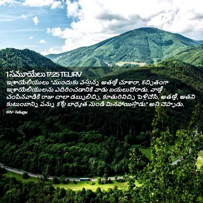 Picture 02 - 1 సమూయేలు 17:25 TELIRV - ఇశ్రాయేలీయులు - Bible Verse Picture