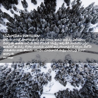 Picture 02 - 1 సమూయేలు 17:28 TELIRV - దావీదు వారితో - Bible Verse Picture