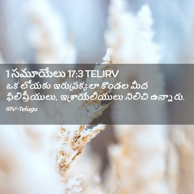 Picture 02 - 1 సమూయేలు 17:3 TELIRV - ఒక లోయకు - Bible Verse Picture