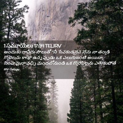 Picture 02 - 1 సమూయేలు 17:34 TELIRV - అందుకు దావీదు - Bible Verse Picture
