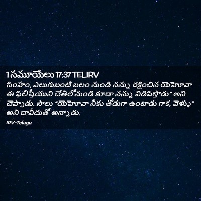 Picture 02 - 1 సమూయేలు 17:37 TELIRV - సింహం, ఎలుగుబంటి - Bible Verse Picture