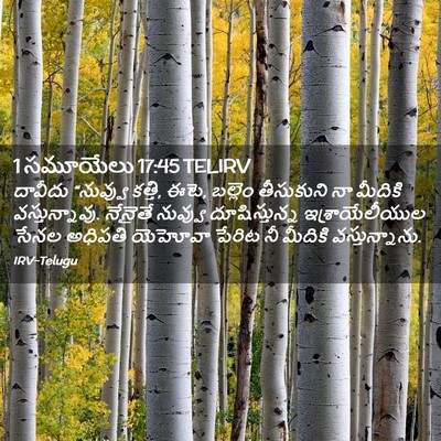 Picture 02 - 1 సమూయేలు 17:45 TELIRV - దావీదు “నువ్వు - Bible Verse Picture