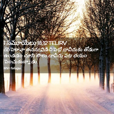 Picture 02 - 1 సమూయేలు 18:12 TELIRV - యెహోవా తనను - Bible Verse Picture