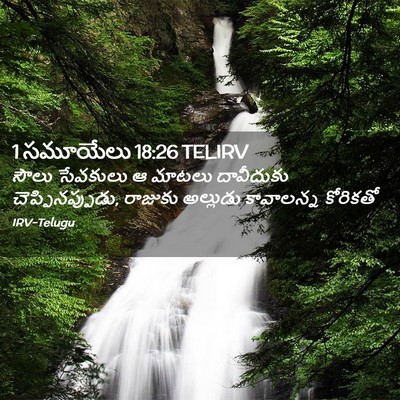 Picture 02 - 1 సమూయేలు 18:26 TELIRV - సౌలు సేవకులు ఆ - Bible Verse Picture