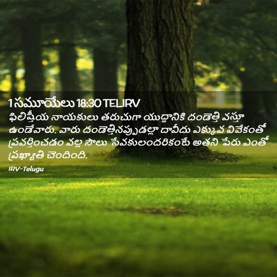 Picture 02 - 1 సమూయేలు 18:30 TELIRV - ఫిలిష్తీయ నాయకులు - Bible Verse Picture