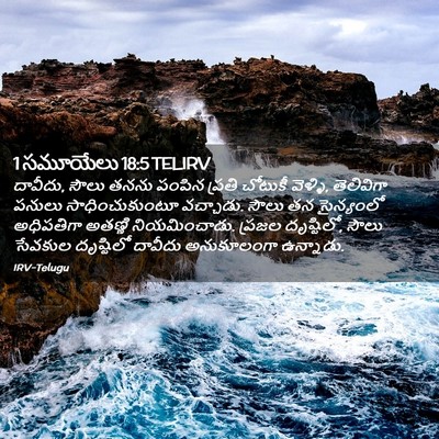 Picture 02 - 1 సమూయేలు 18:5 TELIRV - దావీదు, సౌలు తనను - Bible Verse Picture