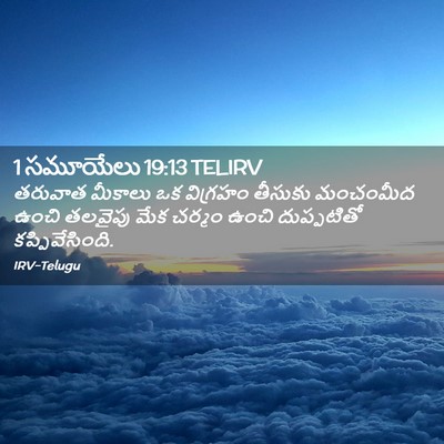 Picture 02 - 1 సమూయేలు 19:13 TELIRV - తరువాత మీకాలు ఒక - Bible Verse Picture