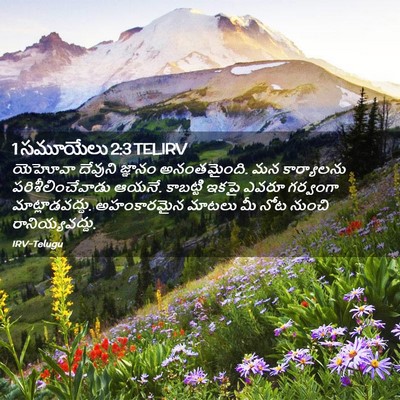 Picture 02 - 1 సమూయేలు 2:3 TELIRV - యెహోవా దేవుని - Bible Verse Picture