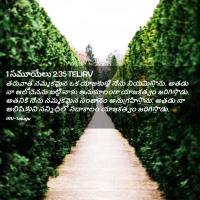 Picture 02 - 1 సమూయేలు 2:35 TELIRV - తరువాత నమ్మకమైన - Bible Verse Picture