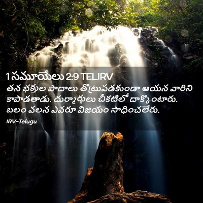 Picture 02 - 1 సమూయేలు 2:9 TELIRV - తన భక్తుల పాదాలు - Bible Verse Picture