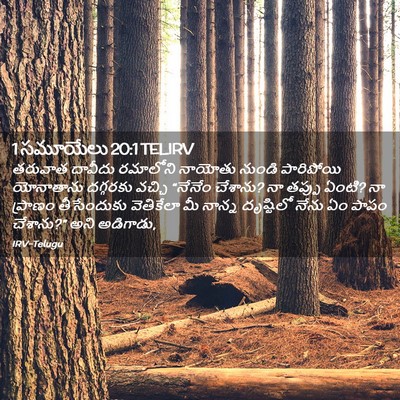 Picture 02 - 1 సమూయేలు 20:1 TELIRV - తరువాత దావీదు - Bible Verse Picture