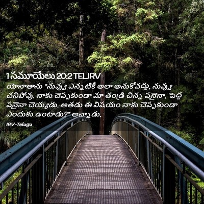 Picture 02 - 1 సమూయేలు 20:2 TELIRV - యోనాతాను “నువ్వు - Bible Verse Picture